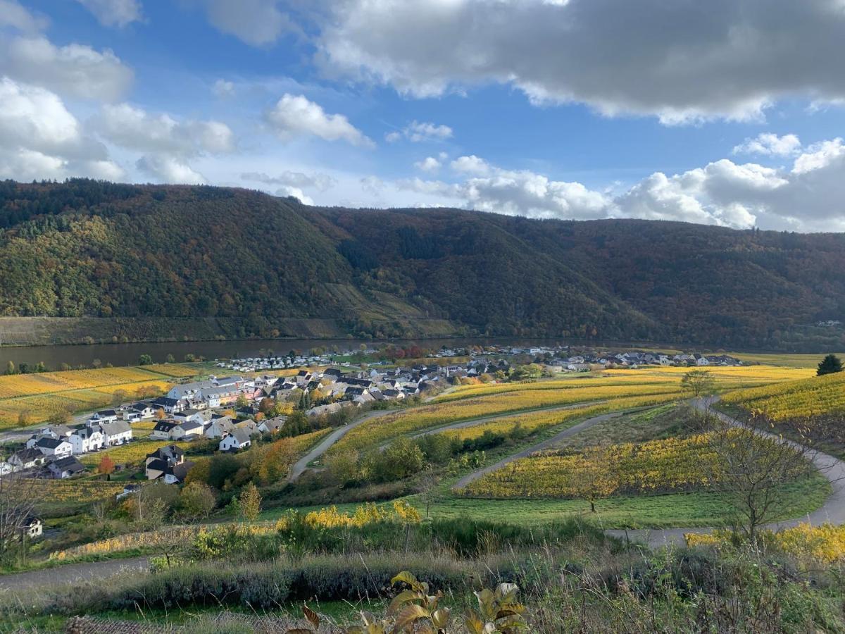 Moselglueck *